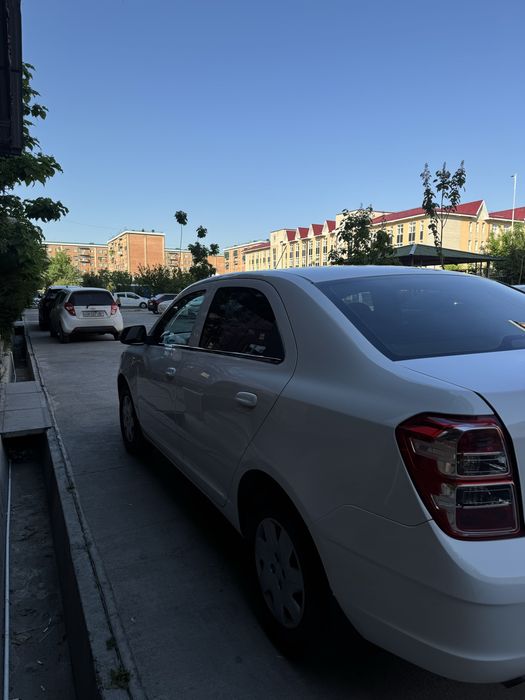 Other Cobalt 2019 — 3