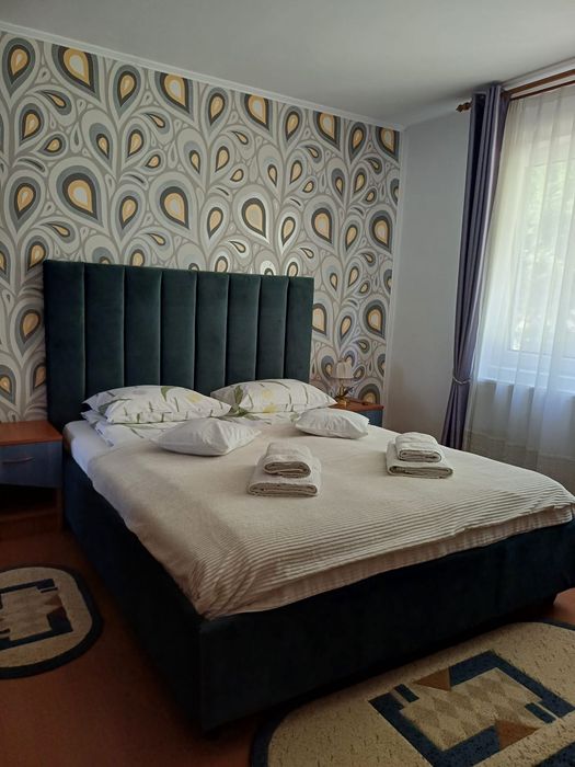 1 Casă de Locuit + 1 Pensiune Funcțională + 1 Pensiune la Roșu | Bran | 2700 m