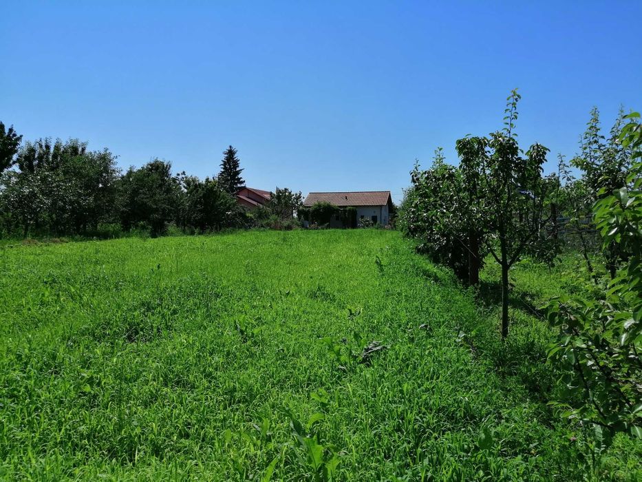 Casa de vacanta sau gospodarie pentru agricultura bio la 40 km de Bucuresti