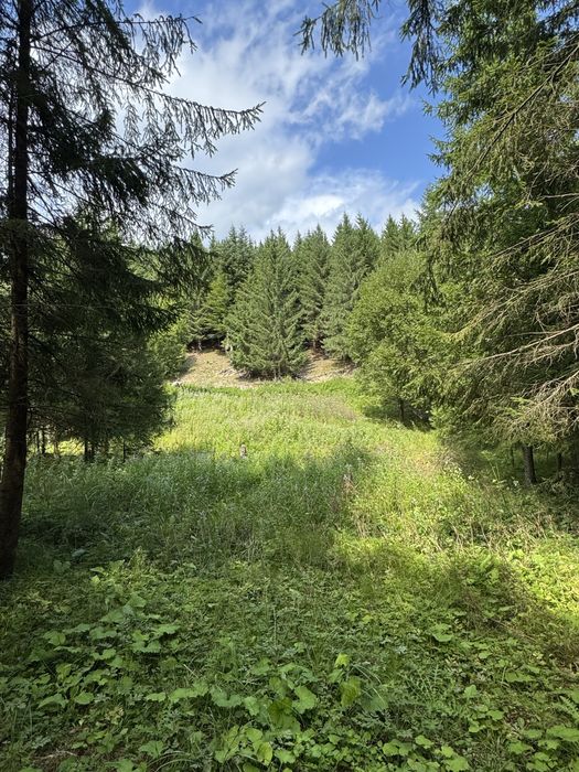 Teren de vanzare Humor/Cabane/Priveliste pitoreasca