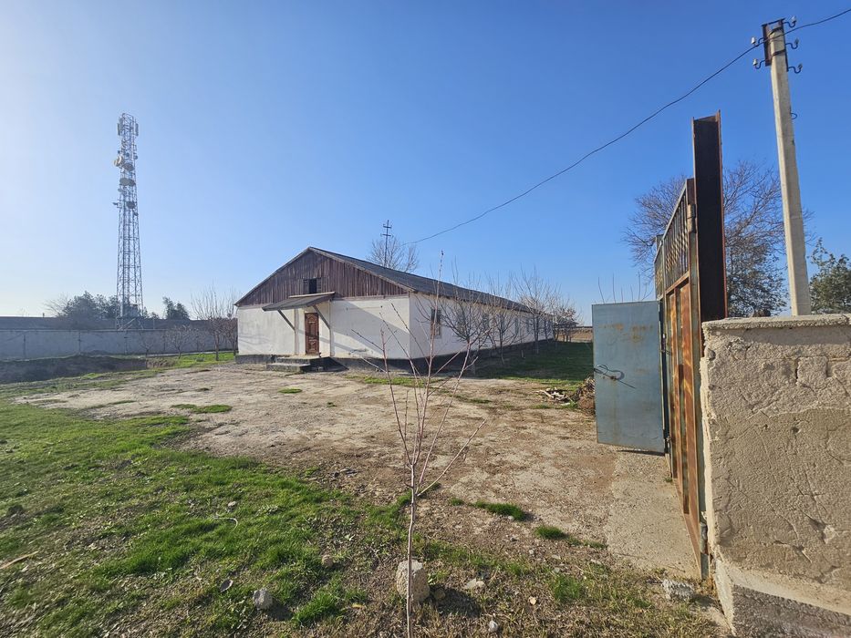 Zarbdor eski bustonda arzonga yer sotiladi