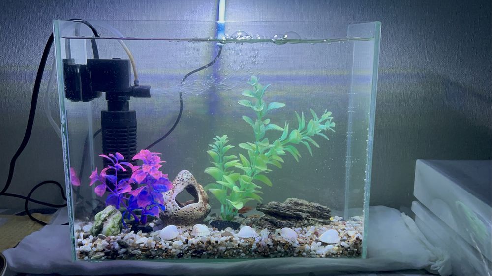 продам аквариум