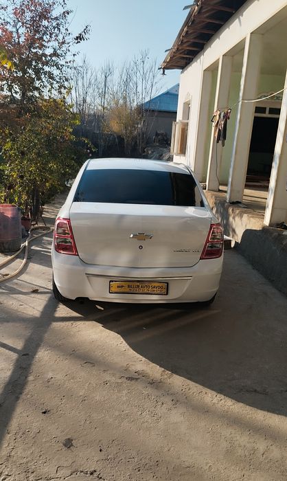 Other Cobalt 2021 — 4