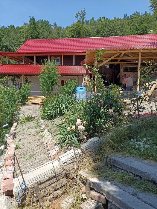 Vand conac de vanatoare in Defileul Dunarii