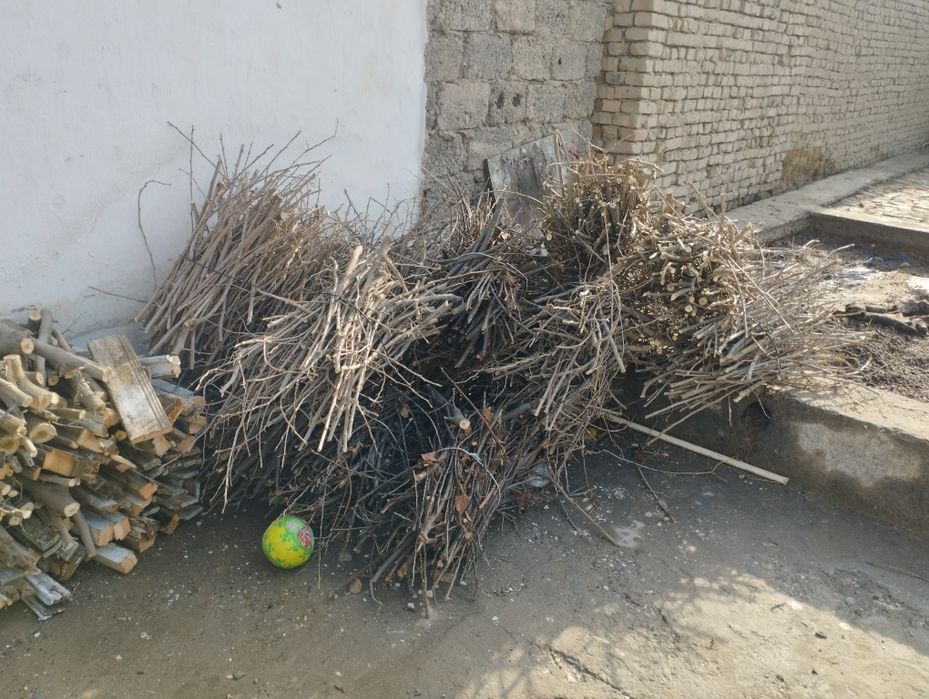 Отин сотилаи.мевали