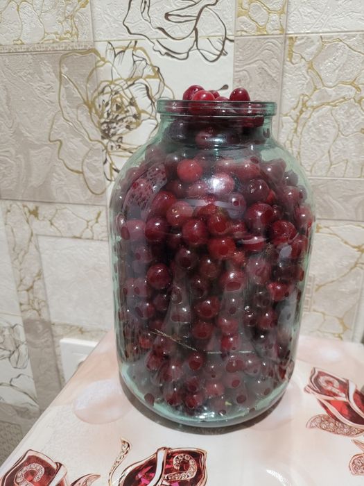 Вишня дачная крупная