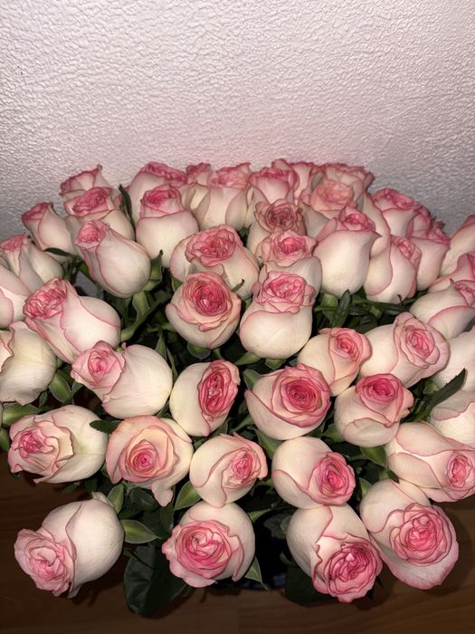 51розы свежий пишите ватсап