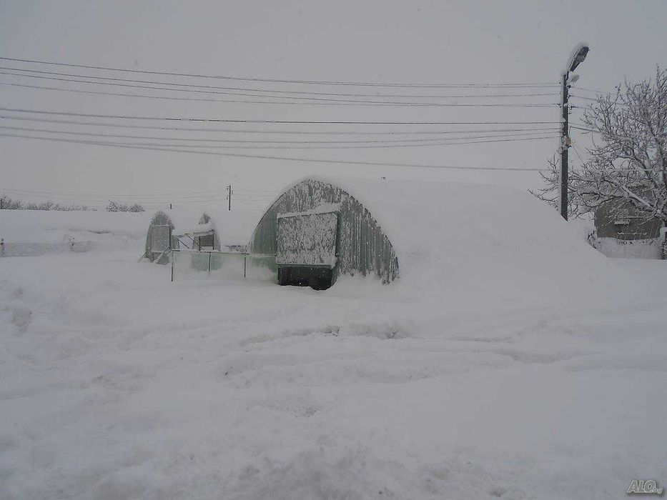 Полиетиленови Оранжерии Профицинк - 4м. ширина (оранжерия тип ”Хоби”)