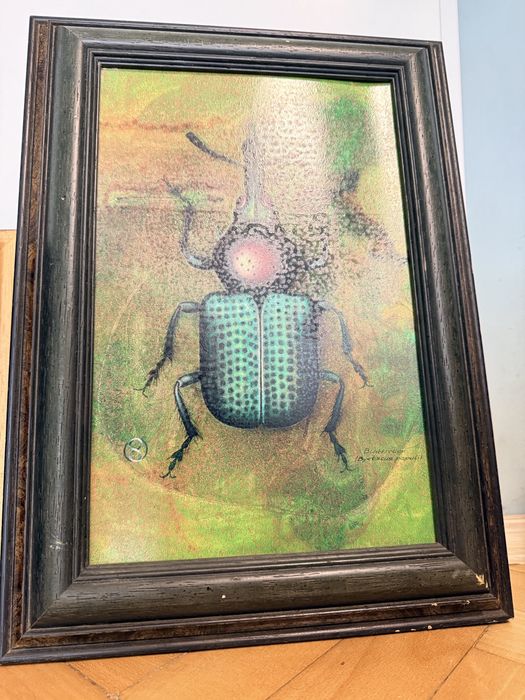 Картини с инсекти