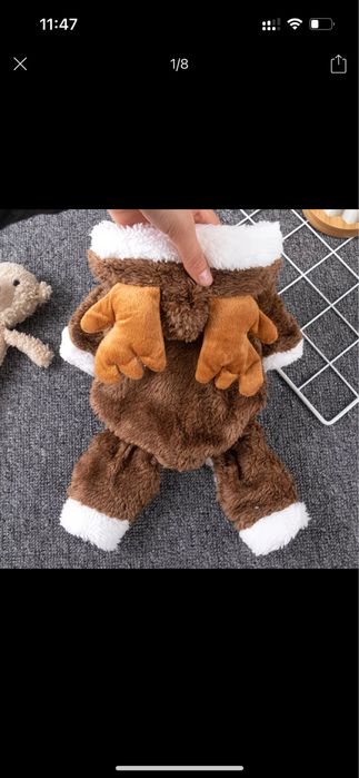 Одежда для собак