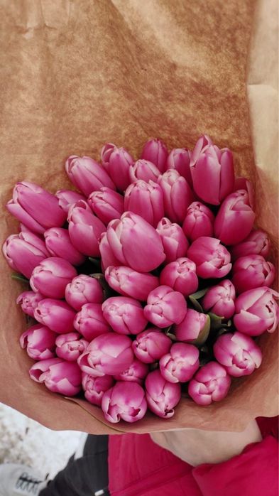 Тюльпаны оптом на 8марта