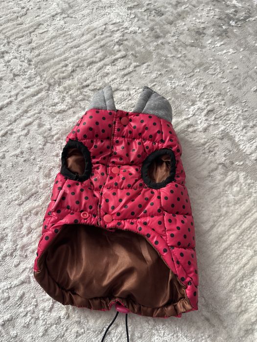 Жилет доя собак