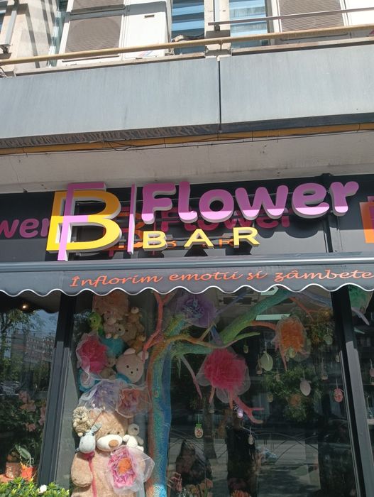 Reclame luminoase ,casete luminoase ,litere volumetrice