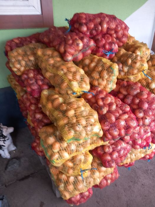 Vand ceapa bio fara chimicale