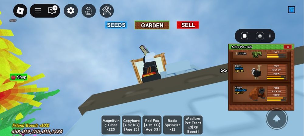 Обменяю акаунт или продаю питомцы