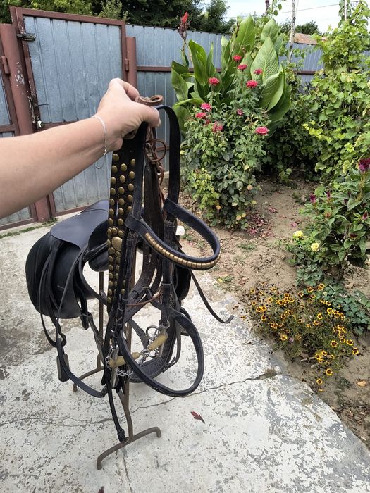 Vand şa pentru echitatie