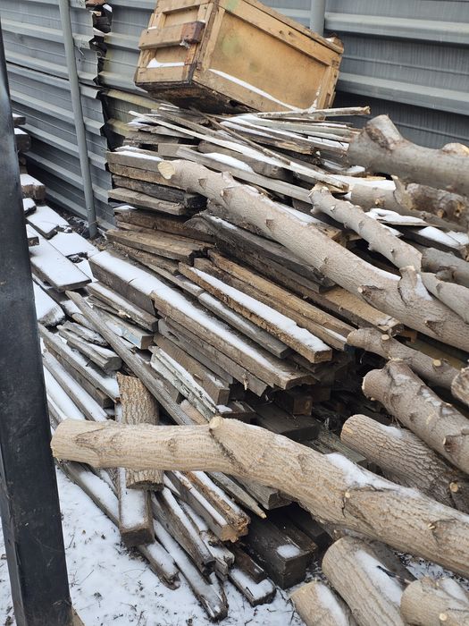 Дрова бревна клен карагач