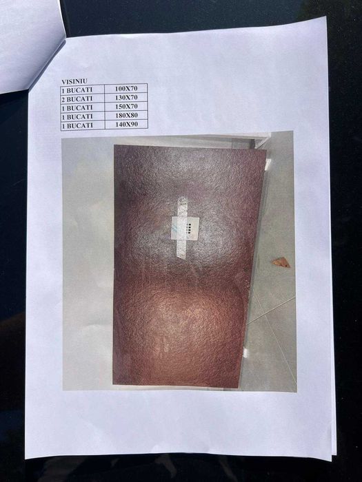 Placa de dush instalați sanitare