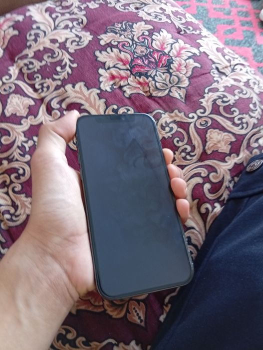 Iphone 12 pro ideal