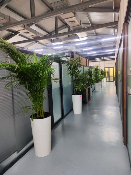 Уход за растениями