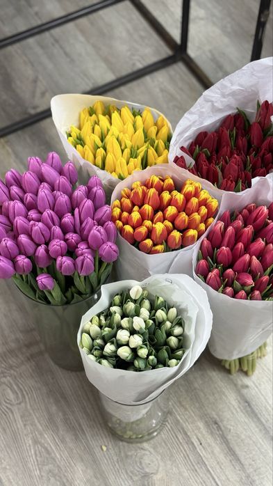 Тюльпаны высококачественные