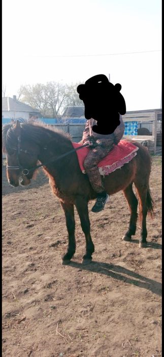 Продам тай 500000 тенге