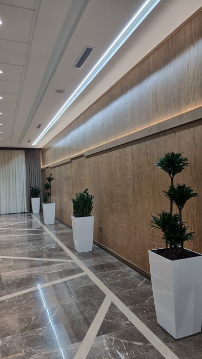 Пересадка Офисных и Комнатных растений уход