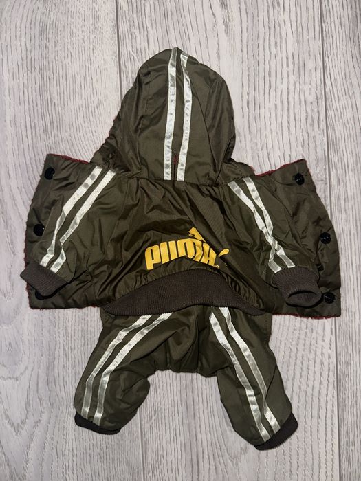 Одежда для Йоркширского терьера