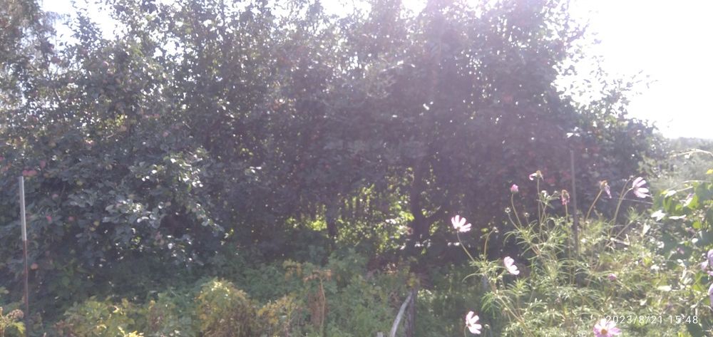 Дача недвижимость