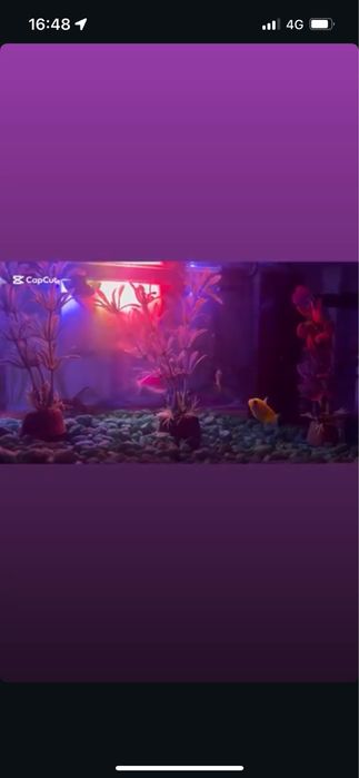 Продам аквариум 7л