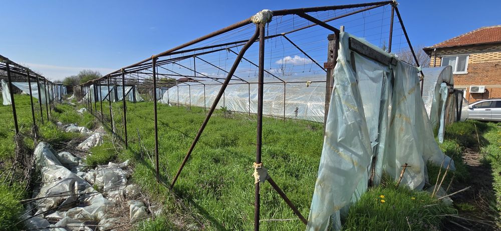 Оранжерии 130 квадрата 23м. На 5.5м.