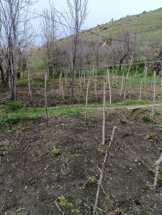 Продается земля.