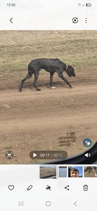 Продам тазы срочно