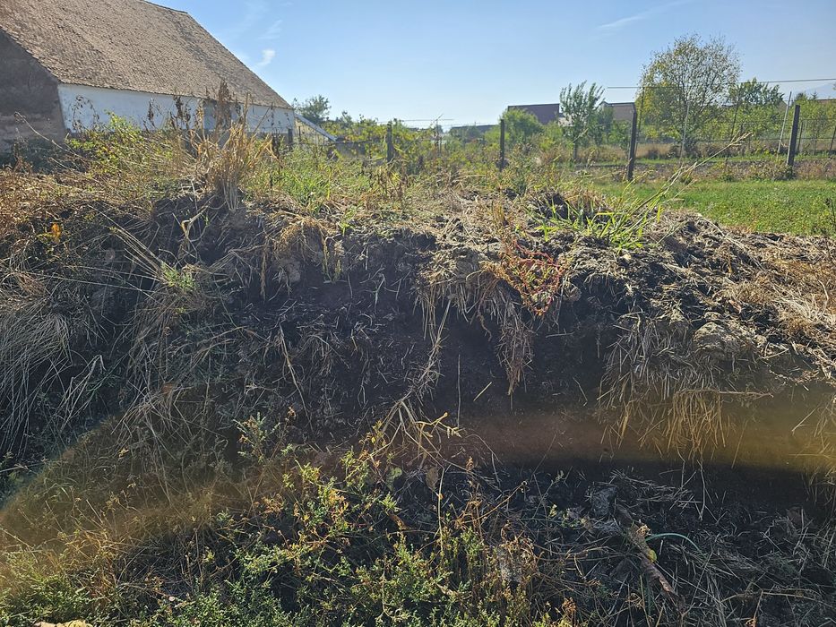 Gunoi de grajd vechi