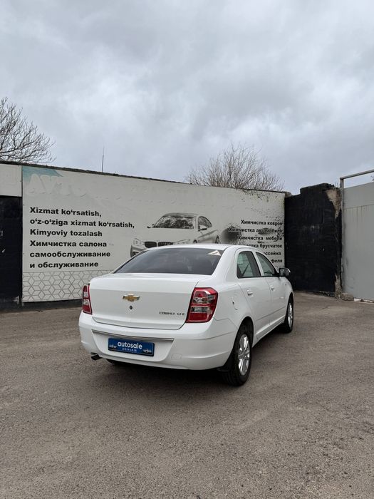 Kobl ttozza 2023 kam yurgan