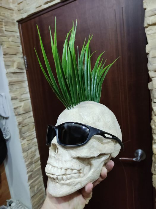 Гипсовые черепа для Хеллоуина.