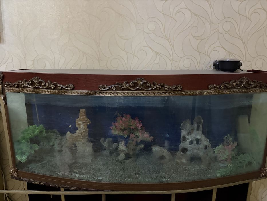 Akvarium sotiladi