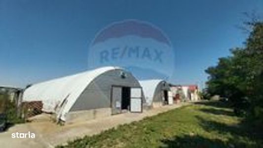 Patru hale si sediu administrativ de vanzare in Mihail Kogalniceanu