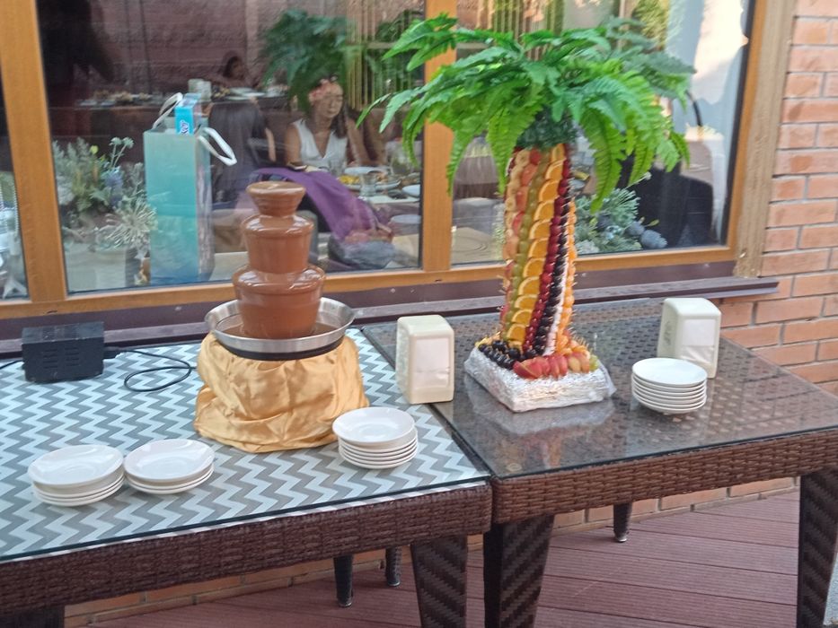 Шоколадный фонтан Алматы