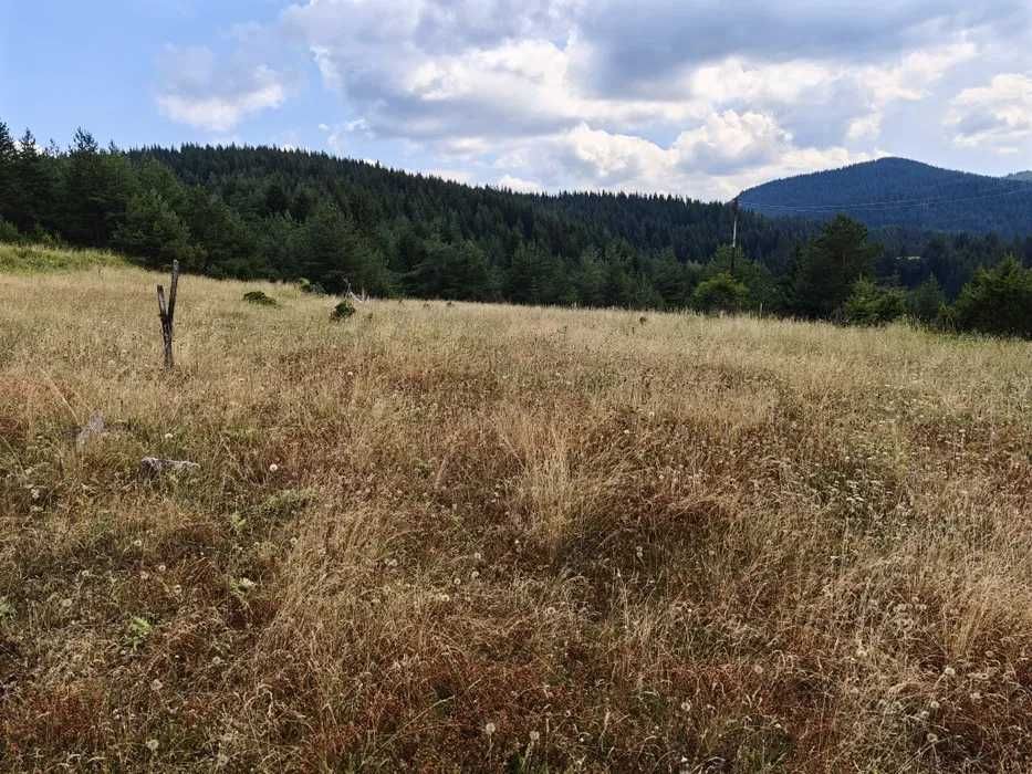 Парцел село Лилково