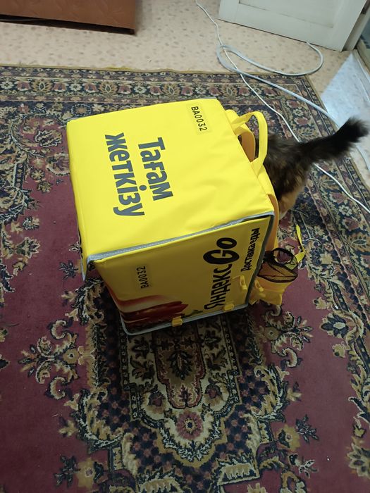 Термосумка яндекс