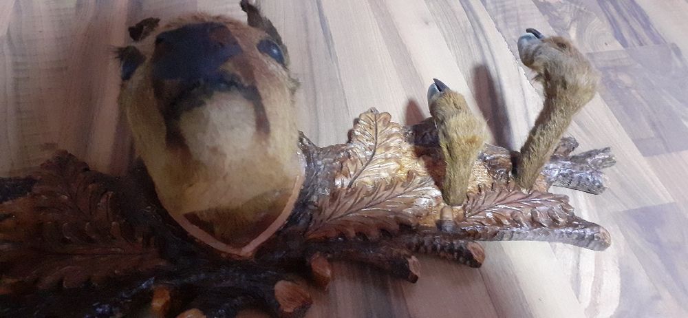 Cuiere vanatoresti panoplie