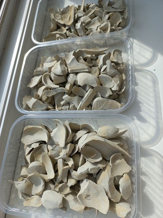 Уральская глина Астана