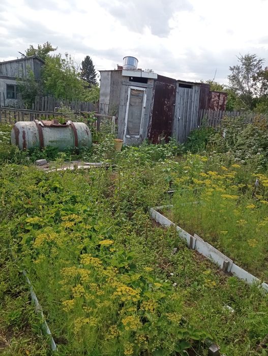 Продам Дача сад Здоровье