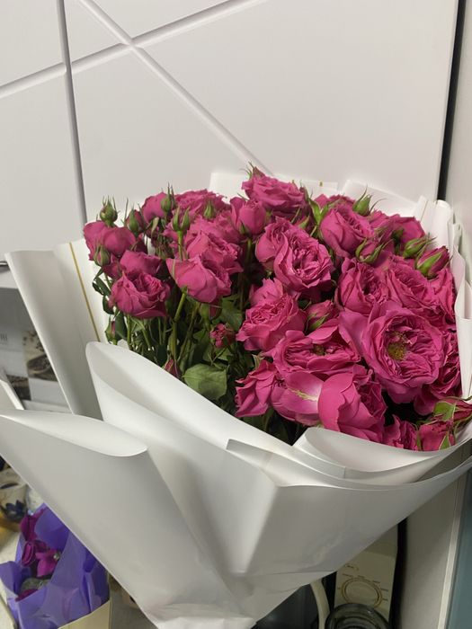 Гул сатылады свежи