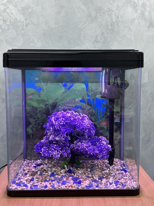 Заводские аквариумы ‼️‼️