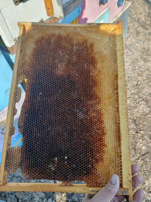 Продам сушь для пчел