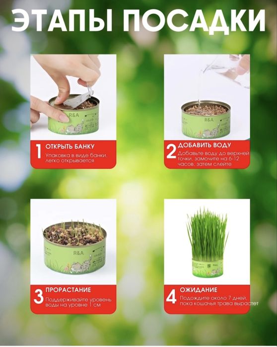 Трава для кошек, для любого возраста