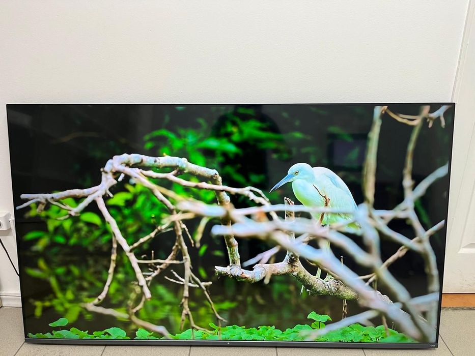 Телевизор смарт Dexp A651 смарт 165см