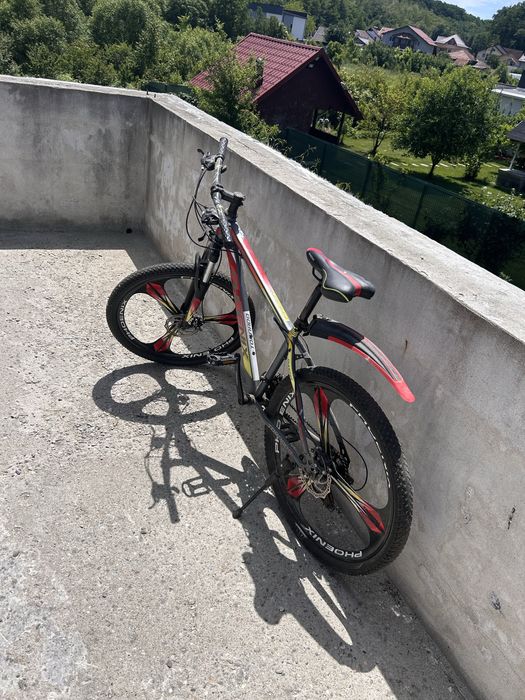 Bicicleta pheonix